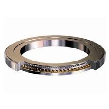 SX011824 Cross Cylindrical Roller Bearing INA Structure