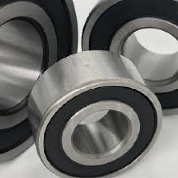 RK6-16P1Z slewing ring bearings with flange