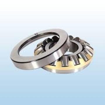 Slewing Bearing for Waste Water Treatment Plants