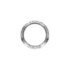 Hoisting Ring 110.25.500/Single-row Cross Roller Slewing Ring