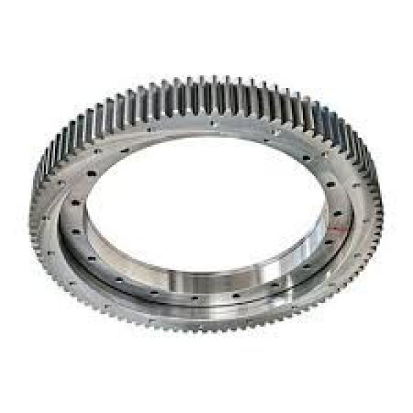 Single Row Four Point Contact Ball Slewing Bearing 010.45.1600 #1 image